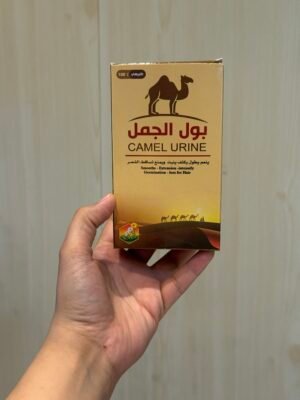 بول الجمل