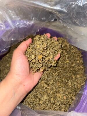 عشبة الحباسة