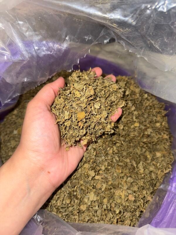 عشبة الحباسة