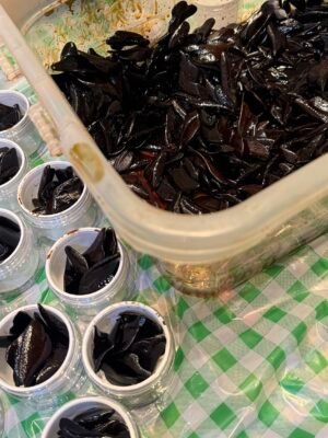 مروكي ديوان