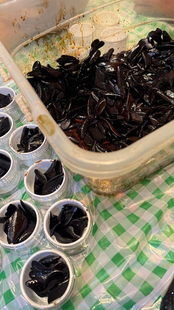 img_2321 مروكي ديوان