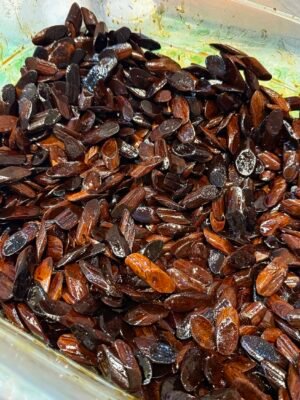 مروكي الزعفران