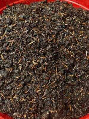 المعسل الجيزاني