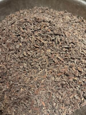 مروكي ملبس بالمسك