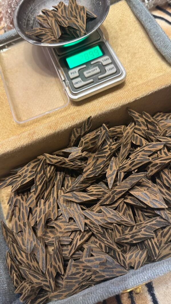 img_7690 تايقر محسن