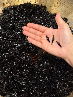 مروكي الزعفران