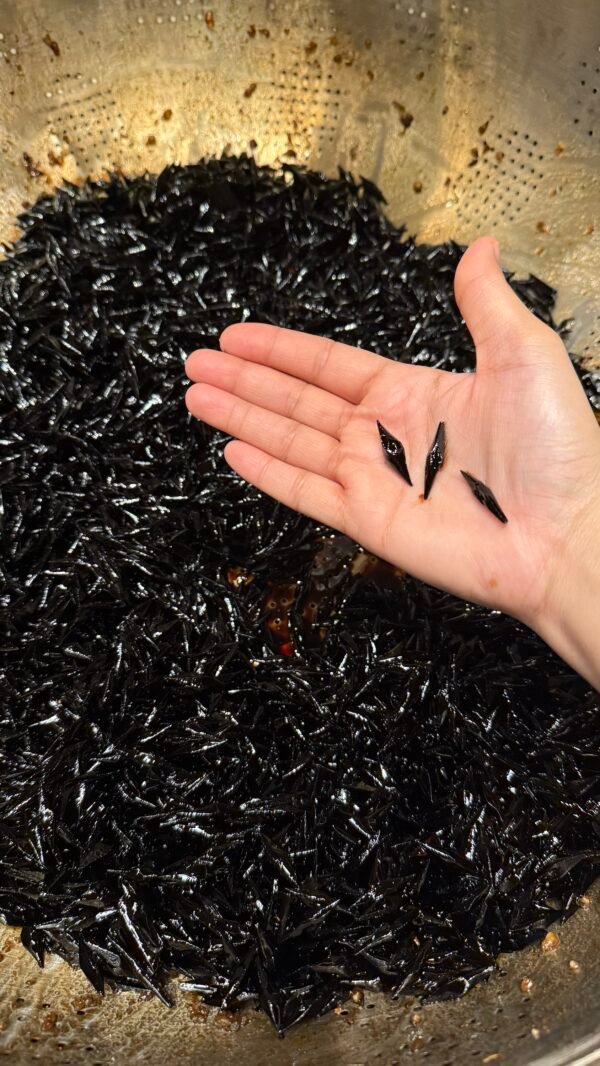 مروكي الزعفران