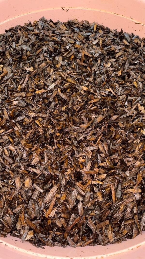 img_1356 عود أصفهان