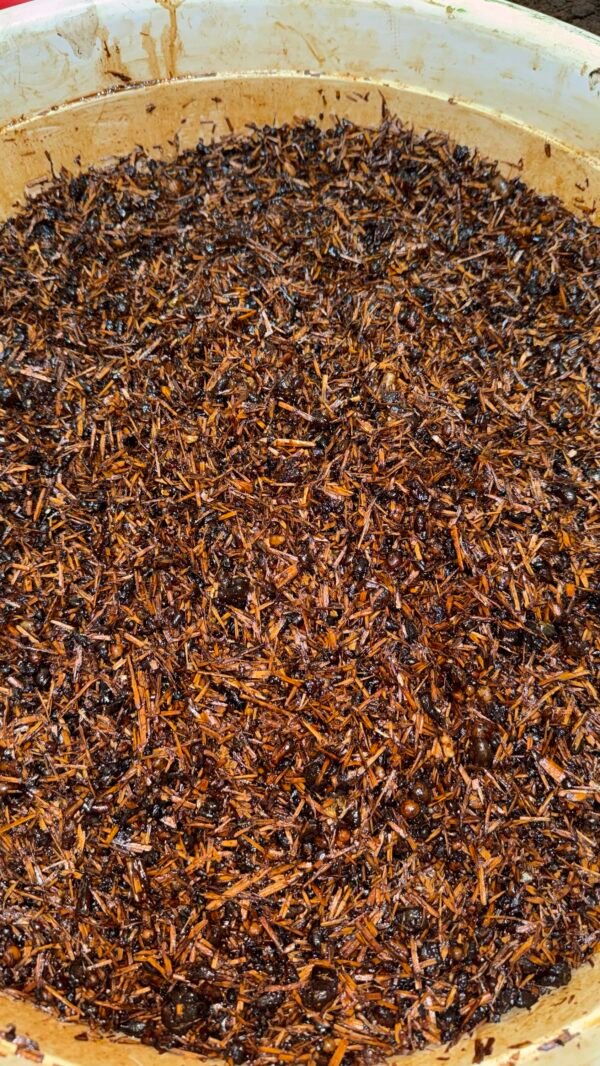 لصندل باللبان