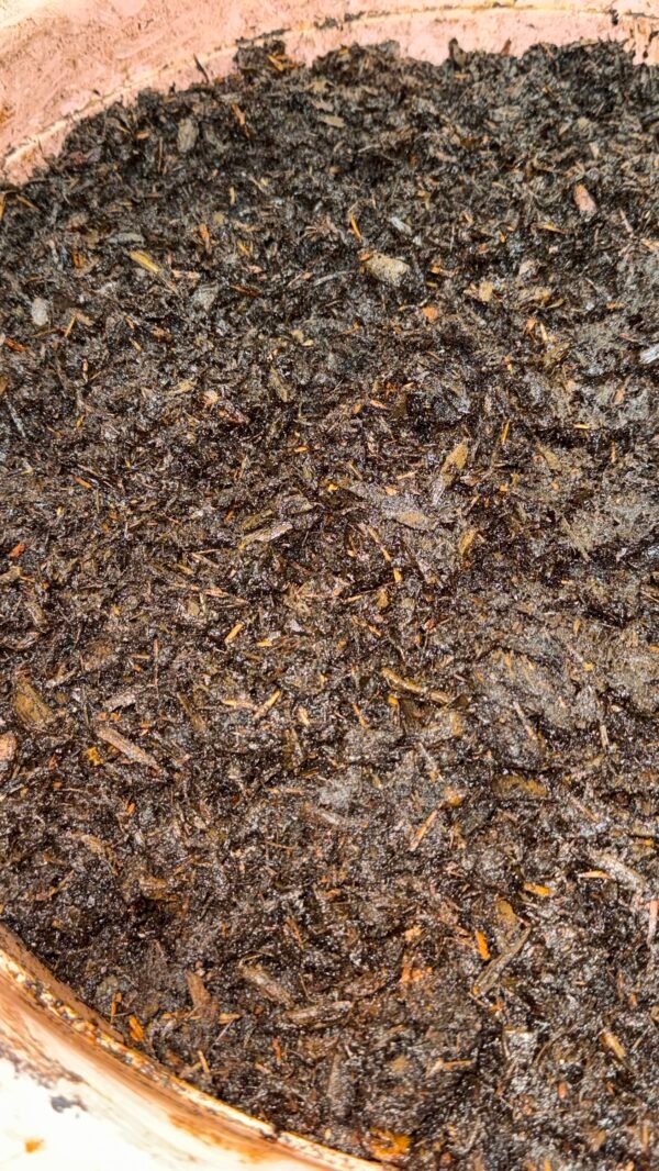 img_1363 معسل جيزاني