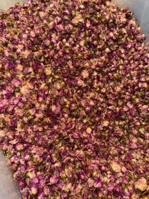 ورد طائفي