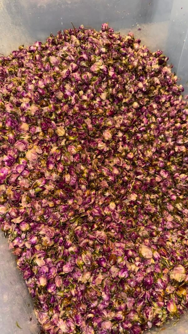ورد طائفي