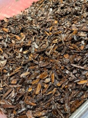 img_1515 ملبس بالمسك